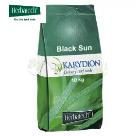 Soleil Noir - 10kg Semences à Gazon
