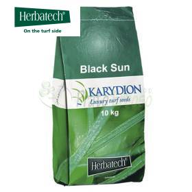 Black Sun - Sementi per prato da 10 kg