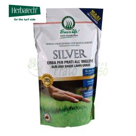 Silver - Sementi per prato da 5 kg