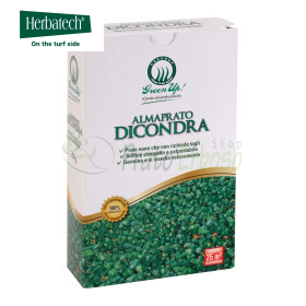 Almaprato Dicondra - Semillas de césped 250 g