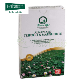 Almaprato Klee & Gänseblümchen - Rasensamen 250 g