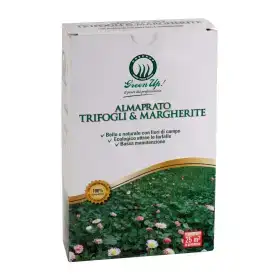 Almaprato Klee & Gänseblümchen – 250 g Rasensamen