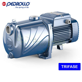 2CP 80 - 0,40 PS dreiphasige elektrische Mehrlaufradpumpe Pedrollo - 1