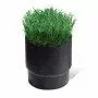 SOD CUP - suport pentru gazon