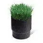 SOD CUP - sod holder