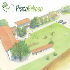Irrigation project for lawns up to 1000 m2