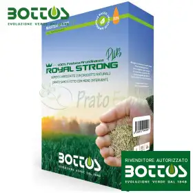 Royal Strong Plus - Sementi per prato da 1 kg