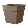 QUADRO SAVE R camel - Vaso quadro da 17 cm camel Deroma - 1