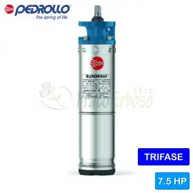 6PSR/7.5 - 6" 7.5 HP three-phase rewindable motor