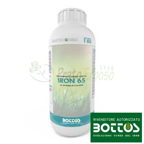 IRON 65 6 Fe - Concime liquido per prato da 1 kg