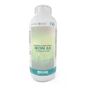 IRON 65 6 Fe - Concime liquido per prato da 1 kg