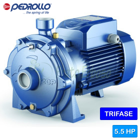 2CP 32/200B - Electrobomba centrífuga trifásica de doble turbina de 5,5 HP Pedrollo - 1
