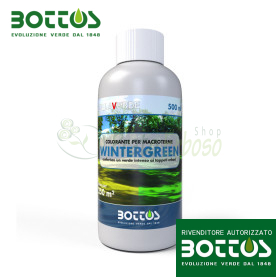 Wintergreen - Bojë për lëndinë macroterme