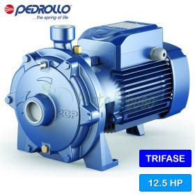 Pompă centrifugă trifazată cu două rotoare 2CP 40/200B - 12,5 CP