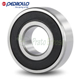 6204 2RS-C3E - Rulment cu bile 20x47x14 mm Pedrollo - 1