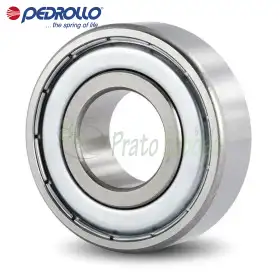 6302 - Cuscinetto a sfera 15x42x13 mm Pedrollo - 1