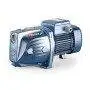 FUTURE JETm 2A - electropompa autoamorsanta monofazata de 1,25 CP