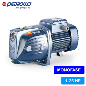 FUTURE JETm 2AX - 1.25 HP single-phase self-priming electric pump