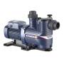 MAGNIFICA 1 – dreiphasige elektrische Poolpumpe mit 0,75 PS