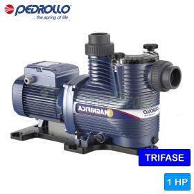 MAGNIFICA 2 - Pompe de piscine électrique triphasée 1 HP