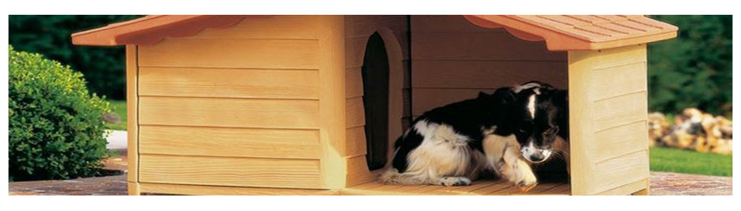 Dog kennels